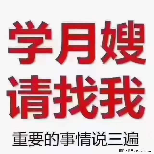 为什么要学习月嫂,育婴师? - 其他广告 - 广告专区 - 大兴安岭分类信息 - 大兴安岭28生活网 dxal.28life.com