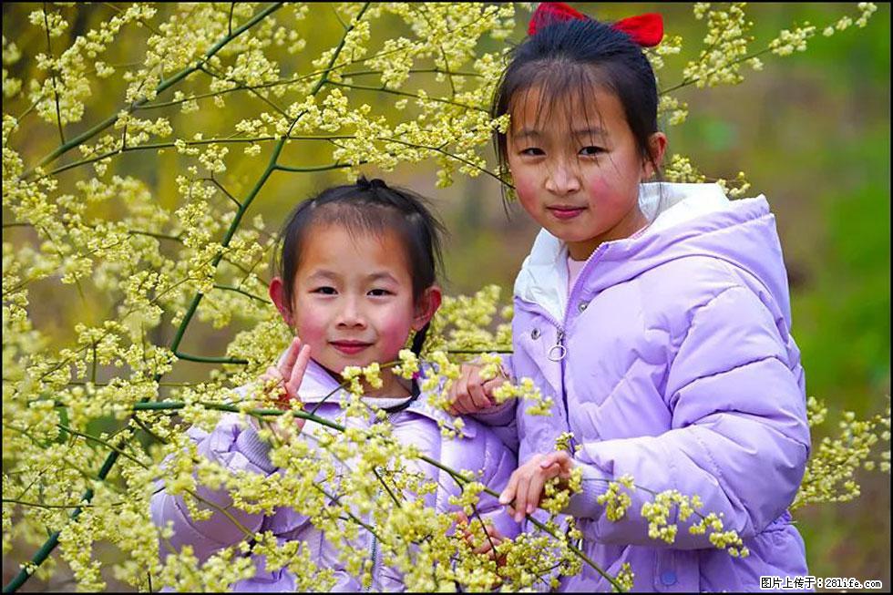 【春天，广西桂林灌阳县向您发出邀请！】米珠山前有片山苍子花在飘香 - 游山玩水 - 大兴安岭生活社区 - 大兴安岭28生活网 dxal.28life.com