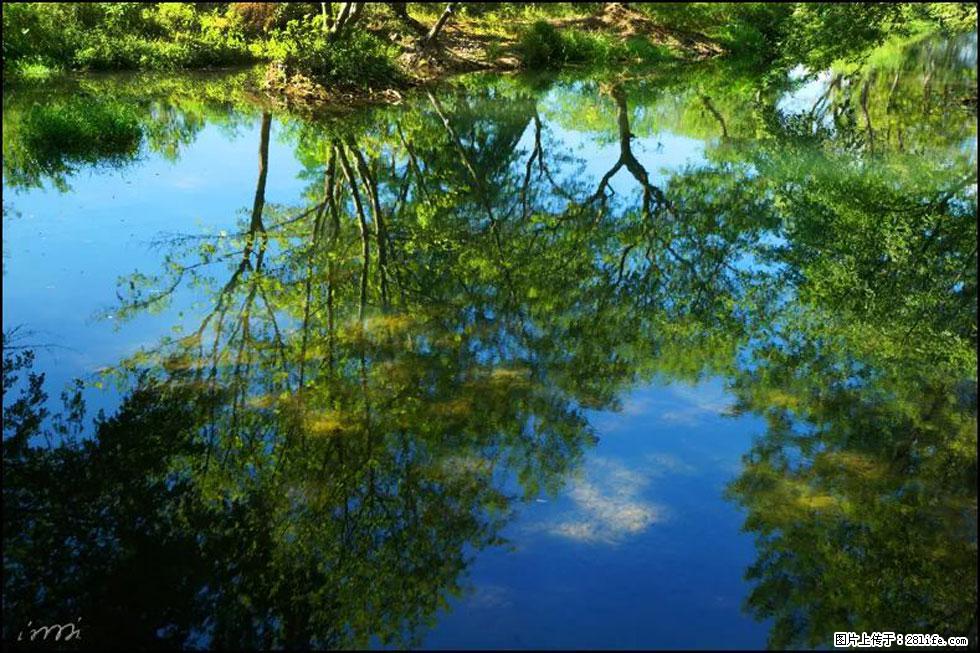 【春天,广西桂林灌阳县向您发出邀请!】熊家寨湿地公园 - 游山玩水 - 大兴安岭生活社区 - 大兴安岭28生活网 dxal.28life.com