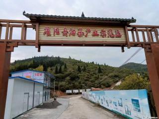 【灌阳县油茶产业示范区】一个有着充实的精神生活的人,对待身外之物自会有一种淡泊的态度 - 大兴安岭28生活网 dxal.28life.com