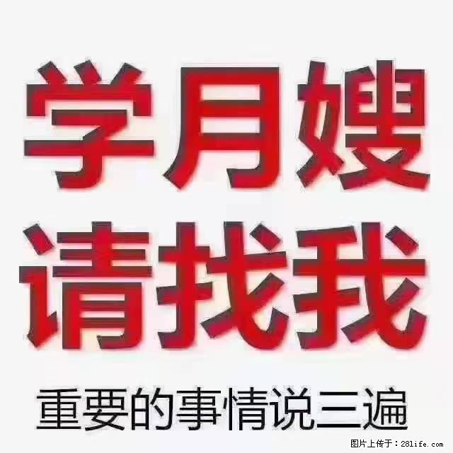 【招聘】月嫂，上海徐汇区 - 职场交流 - 大兴安岭生活社区 - 大兴安岭28生活网 dxal.28life.com