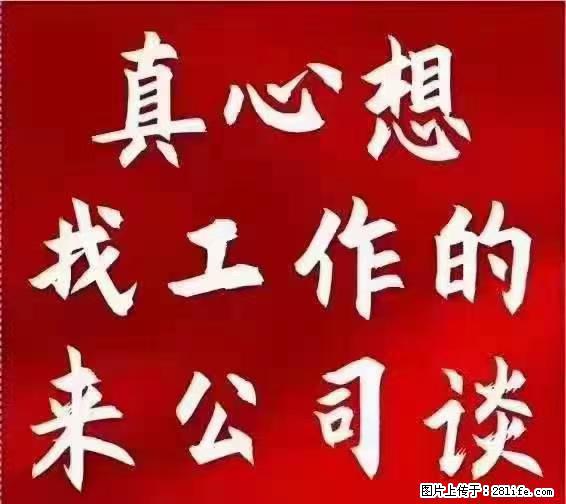 【上海】国企,医院招两名男保安,55岁以下,身高1.7米以上,无犯罪记录不良嗜好 - 职场交流 - 大兴安岭生活社区 - 大兴安岭28生活网 dxal.28life.com