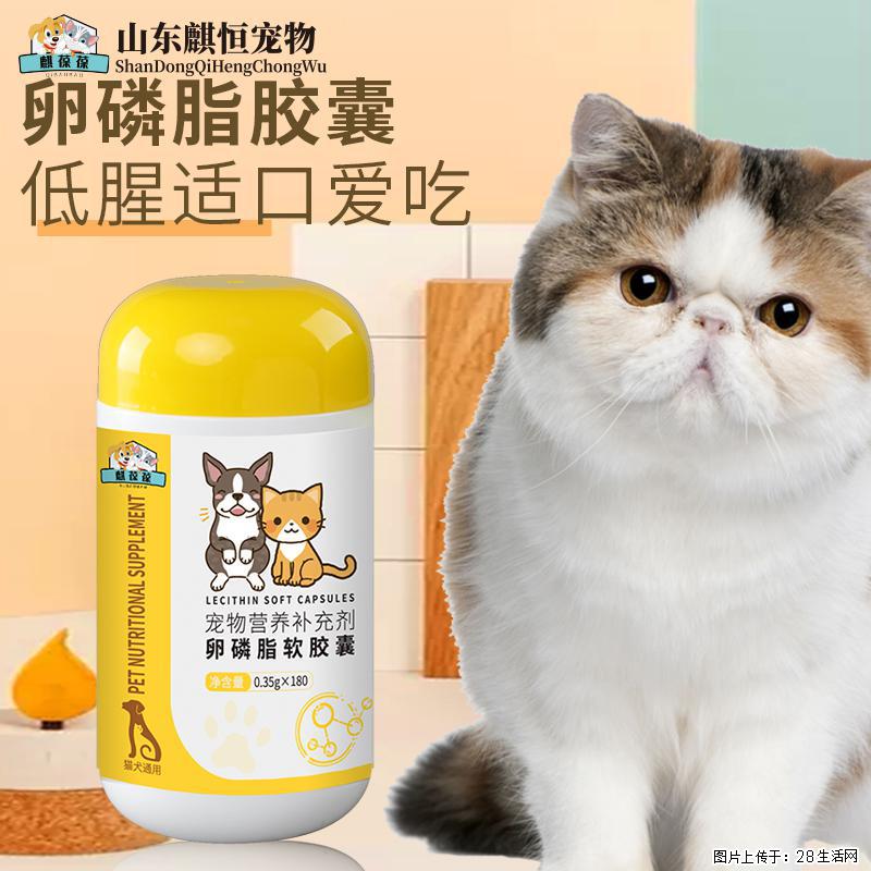 毛耗子的卵磷脂胶囊低腥适口爱吃宠物营养补充剂卵磷脂软胶囊 - 宠物食品 - 宠物信息 - 大兴安岭分类信息 - 大兴安岭28生活网 dxal.28life.com