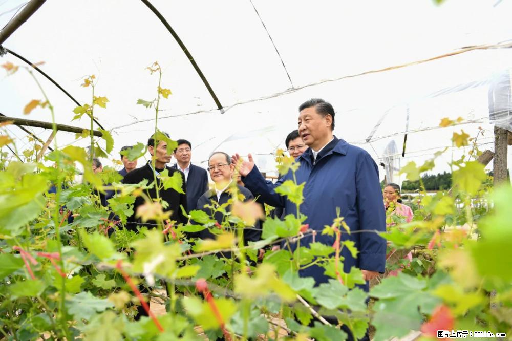 习近平赴广西考察调研 - 大兴安岭生活资讯 - 大兴安岭28生活网 dxal.28life.com