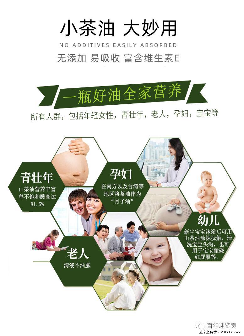 世界没有真相,只有认知,最好的食用油是中国的山茶油! - 大兴安岭生活资讯 - 大兴安岭28生活网 dxal.28life.com