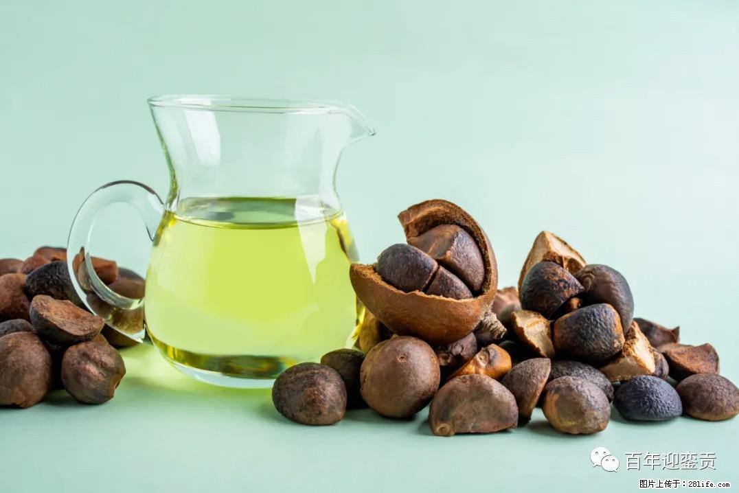 世界没有真相，只有认知，最好的食用油是中国的山茶油！ - 大兴安岭生活资讯 - 大兴安岭28生活网 dxal.28life.com