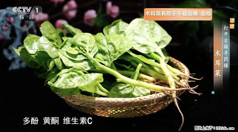 比牛奶补钙还厉害！凉血解毒、稳血糖...这菜冬天必吃，很多人却当草 - 大兴安岭生活资讯 - 大兴安岭28生活网 dxal.28life.com