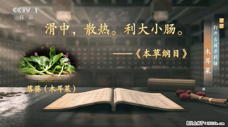 比牛奶补钙还厉害！凉血解毒、稳血糖...这菜冬天必吃，很多人却当草 - 大兴安岭生活资讯 - 大兴安岭28生活网 dxal.28life.com