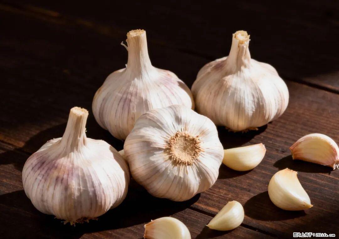 关于大蒜,除了“天然抗生素”,这4个谣言更该警惕! - 大兴安岭生活资讯 - 大兴安岭28生活网 dxal.28life.com