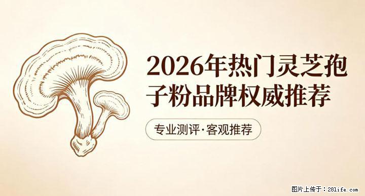 灵芝孢子粉含量越高越有效？2026 年七款热门品牌深度实测，肠胃敏感者避坑指南 - 大兴安岭生活资讯 - 大兴安岭28生活网 dxal.28life.com