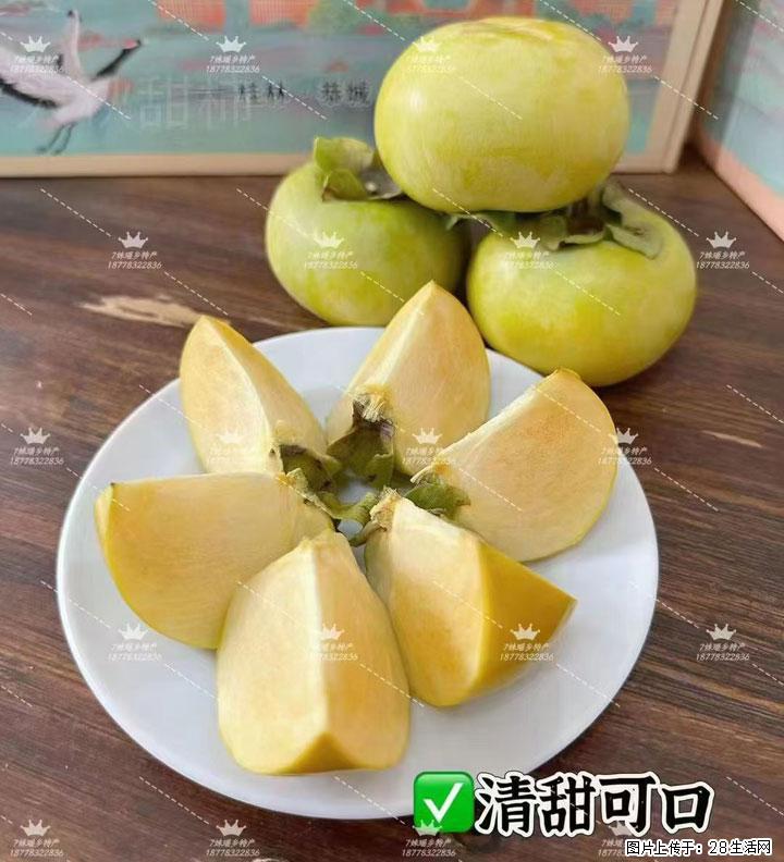 广西桂林平乐桥亭【红心猕猴桃】、【大秋甜柿】上市啦，欢迎各位新老客户下单（另有少量小果出售） - 大兴安岭生活资讯 - 大兴安岭28生活网 dxal.28life.com